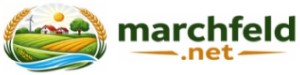 Onlineportal – Marchfeld.net * Informieren / Kommunizieren / Mitteilen *